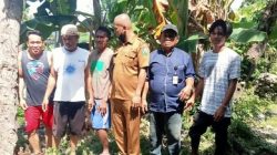 pohon tumbang garogo