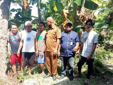 pohon tumbang garogo